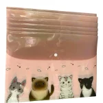 Mapa pvc capsa FC (diverse desene)