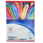 Hartie color A4 80g. 100/top 10 culori