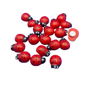 Set creativ Buburuze 12x15 20/set