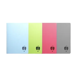 Caiet A4 Daco coperta plastic 100 file