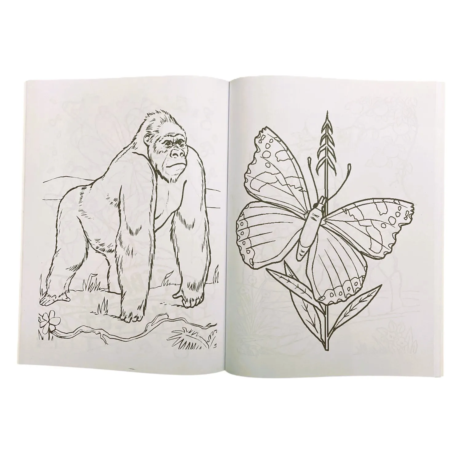 Carte de colorat A4 40 pag. - imagine 6