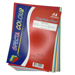 Carton A4 160g combinat 10/top