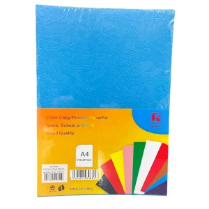 Carton A4 230g imitatie piele 100/top