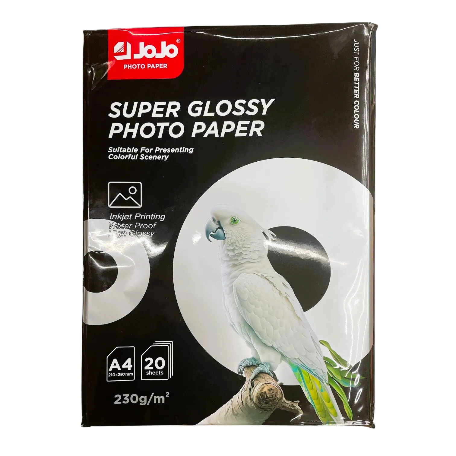 Hartie Foto A4 230g lucioasa 20/top