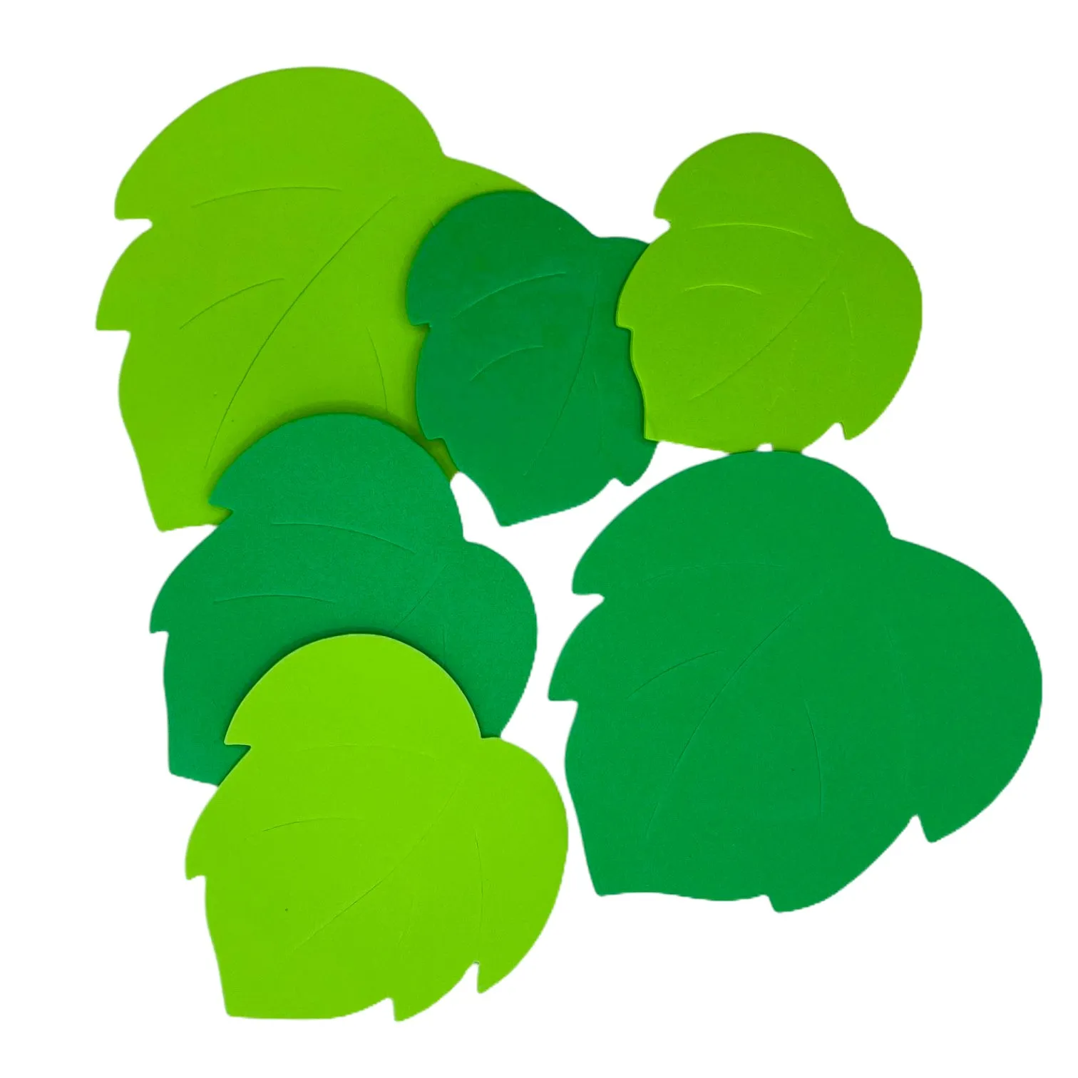 Set creativ Frunze verzi - imagine 2