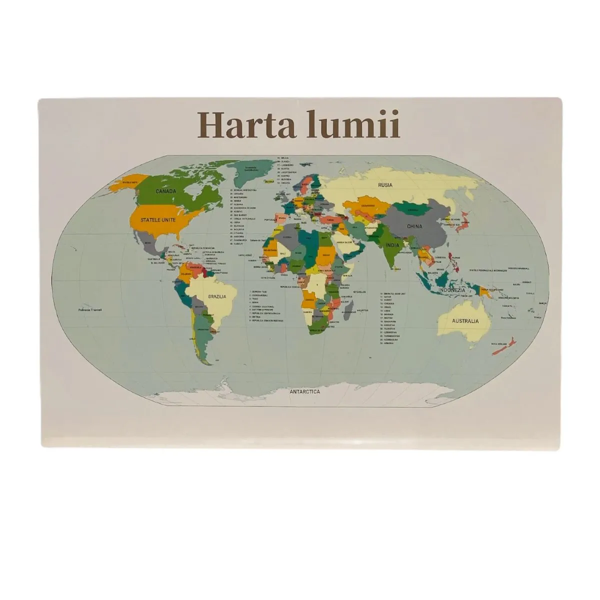 Harta lumii A3 42x29cm 2 fete (fizica/politica) - imagine 2